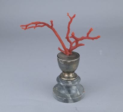 Red Coral on a Wolfers Silver Base

A branch...