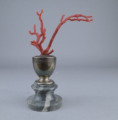 Red Coral on a Wolfers Silver Base

A branch...