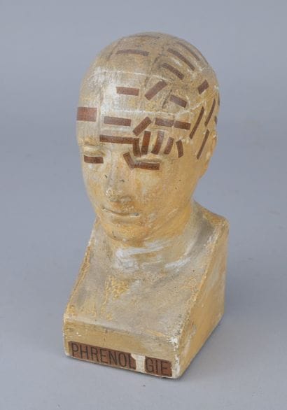 Educational phrenological plaster bust, early...