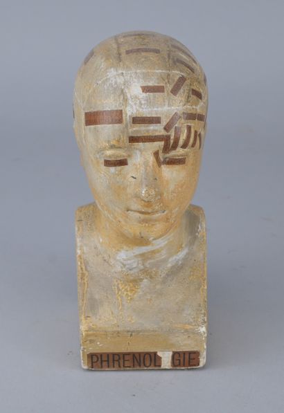 Educational phrenological plaster bust, early...