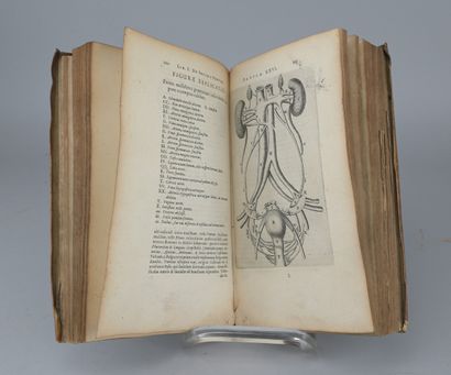 Thomas Bartholin, *Anatomia Reformata*, 1651

Early...