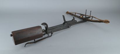 17th-century sling crossbow

A 17th-century...