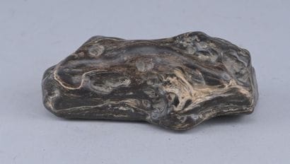 Petrified wood with a rich, aged patina

A...
