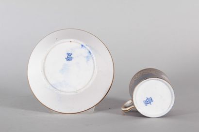 18th-Century Sèvres – Cup and Saucer, Louis...