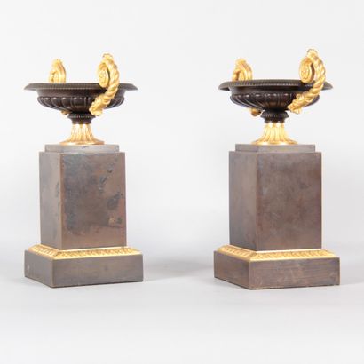 Pair of bronze tazzas from the Charles X...