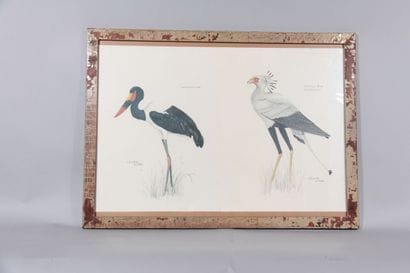 Chantal de Potter – Pair of ornithological...