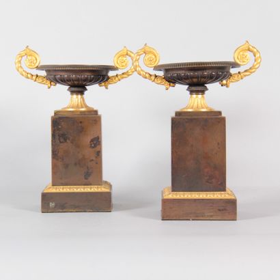Pair of bronze tazzas from the Charles X...