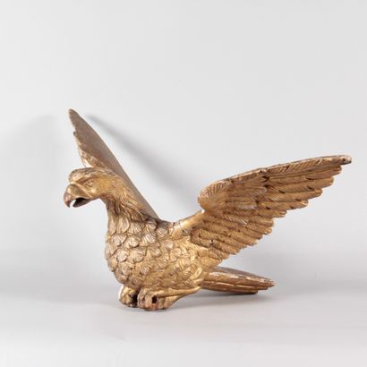 Impressive eagle with outstretched wings,...