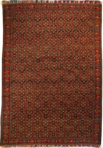 Tapis Persan Senneh fin XIXème
Champ à décor...