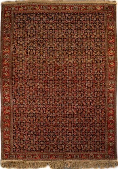 Tapis Persan Senneh fin XIXème 
Champ à décor...
