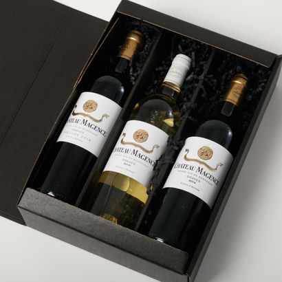 
Coffret de 3 bouteilles Grand Vin de Bordeaux,...