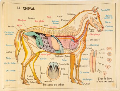 Ensemble de quatre cartes scolaires recto-verso...