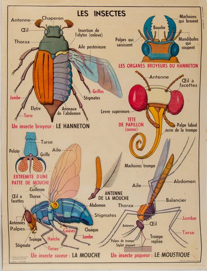 Ensemble de quatre cartes scolaires recto-verso...