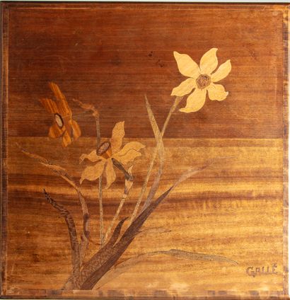 Emile GALLE (1846 - 1904)

Suite de quatre...