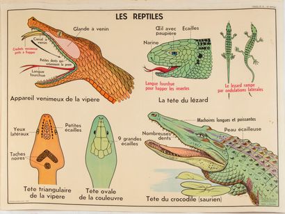 Ensemble de quatre cartes scolaires recto-verso...