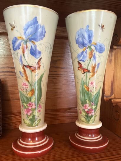 Paire de vases à décor polychrome d'iris...