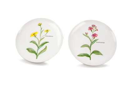 PIERRE MOTTON
Paire d'assiettes plates en...