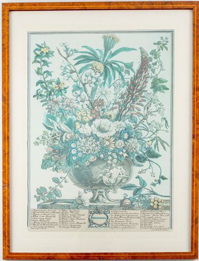 D'après Robert FURBER (1674-1756), gravé...