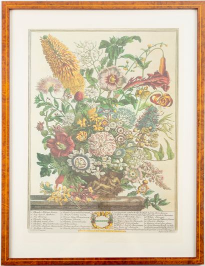 D'après Robert FURBER (1674-1756), gravé...