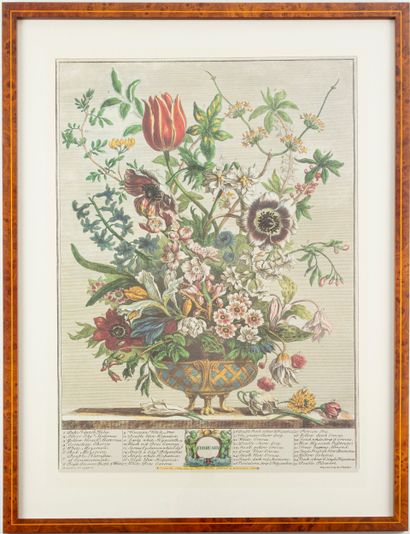 D'après Robert FURBER (1674-1756), gravé...