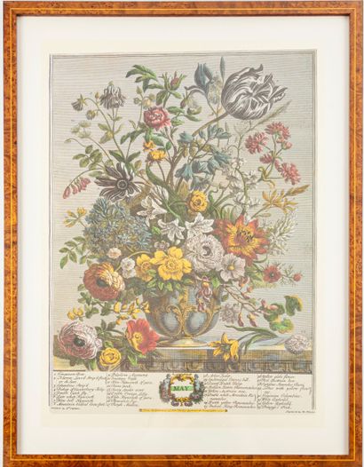 D'après Robert FURBER (1674-1756), gravé...