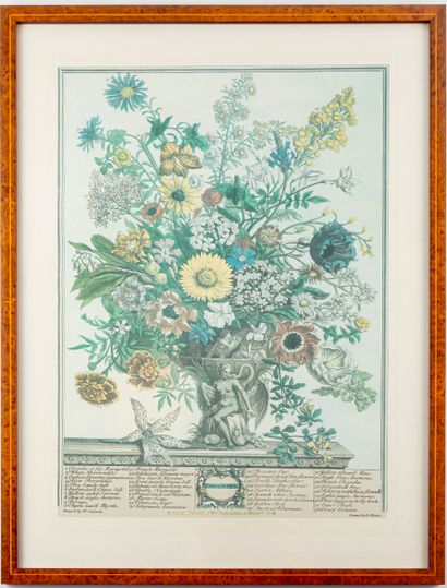 D'après Robert FURBER (1674-1756), gravé...