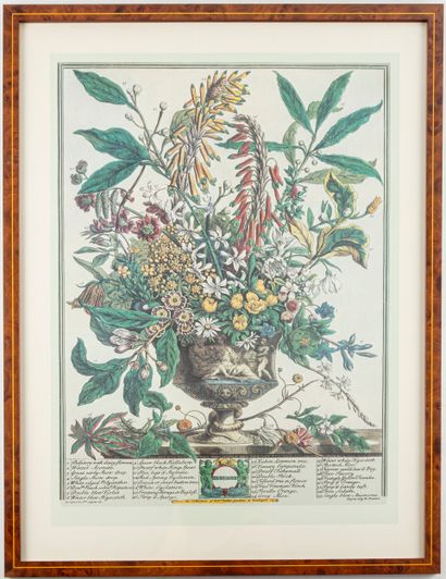 D'après Robert FURBER (1674-1756), gravé...