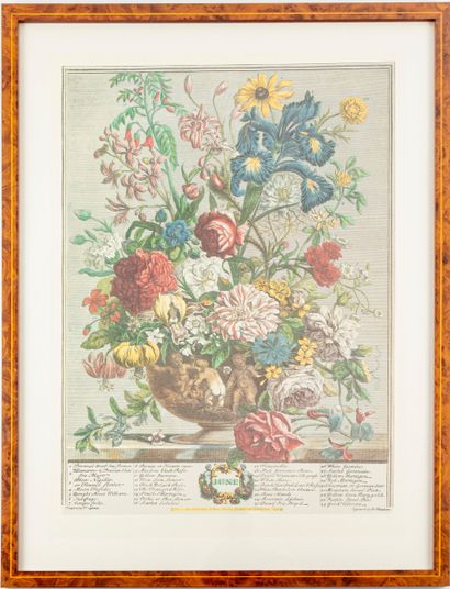 D'après Robert FURBER (1674-1756), gravé...