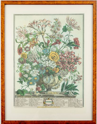 D'après Robert FURBER (1674-1756), gravé...