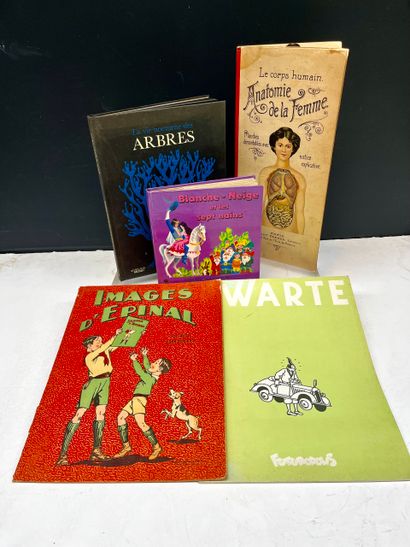 Ensemble de livres pour enfants comprenant...
