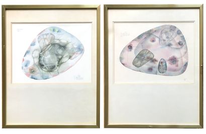 VALLEZ - XXth
Quark 
Two watercolors on paper
Signed...