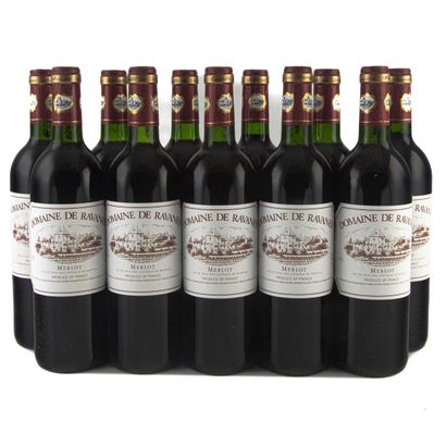 11 B DOMAINE DE RAVANES Merlot Pays des Côteaux...