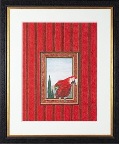 JEAN-LUC CHILLOUX 
Perroquet à la fenêtre...