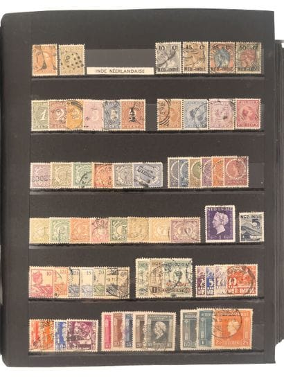 ALBUMS de TIMBRES
Ensemble de 3 albums -...