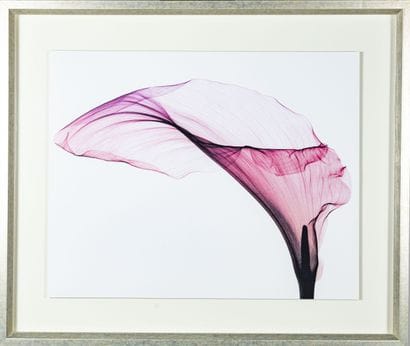 La feuille rose
Impression numérique
Sous...