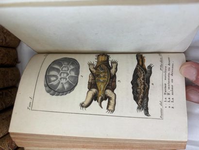 BUFFON (comte de). Histoire naturelle. Paris,...