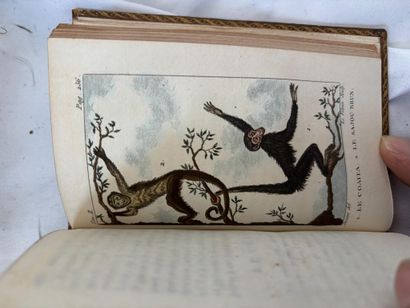 BUFFON (comte de). Histoire naturelle. Paris,...