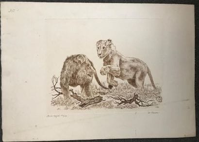 Jean-Paul EHRMANN (XXe)
Lion et lionne
Burin,...