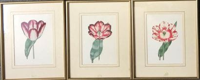 LOT de 6 reproductions 