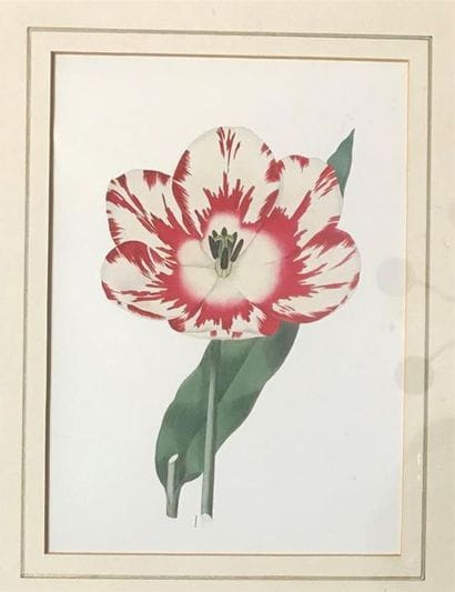 LOT de 6 reproductions 