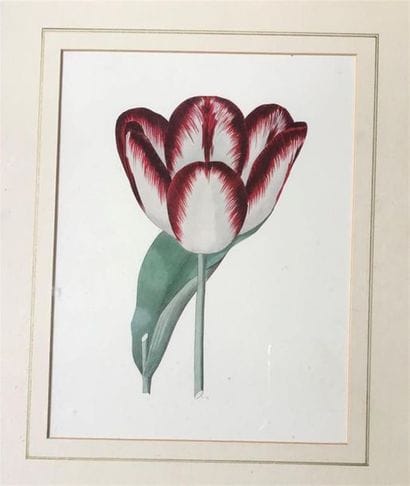 LOT de 6 reproductions 
