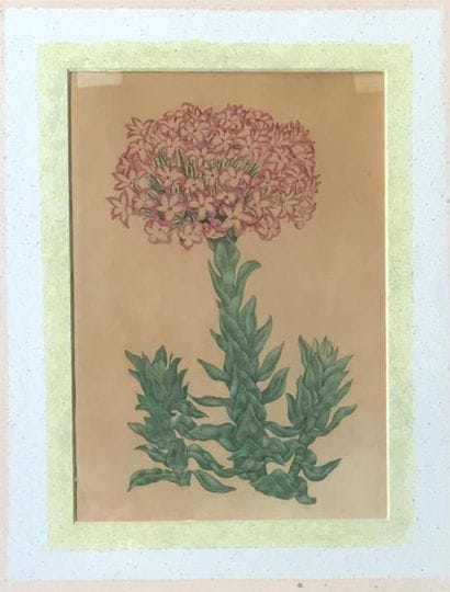 LOT de 6 reproductions 