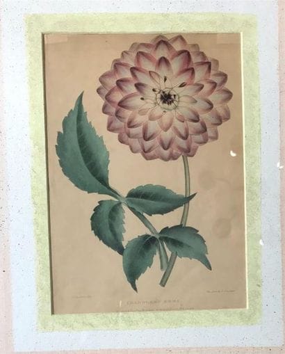 LOT de 6 reproductions 