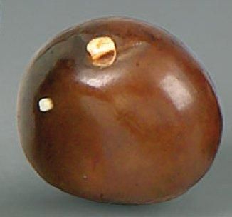 Netsuke en bois et ivoire, châtaigne posée,...