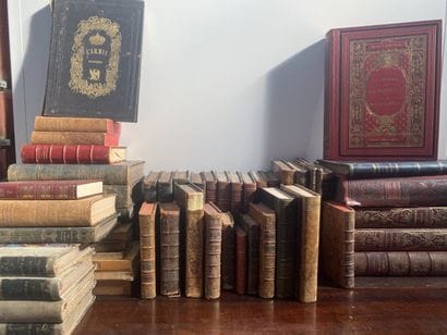 Lot important de volumes sur le thème de...