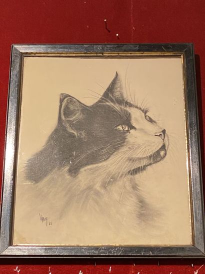 Contemporary school
Cat
Charcoal on paper...
