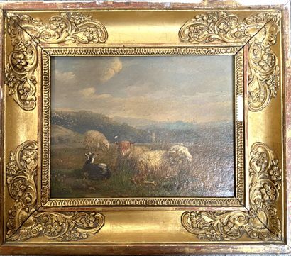 French school of the 19th century
The Herd...