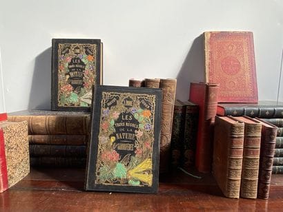 Lot de volumes sur le thème de l'Histoire...