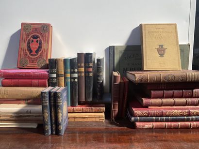 Lot of volumes on the theme of Fine Arts.
(As...