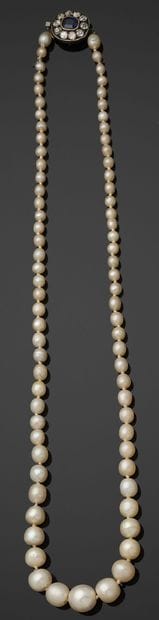 COLLIER de perles fines d'eau de mer et eau...